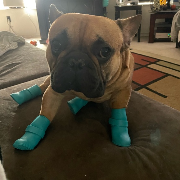 Meet your Posher, Victorie - Picture 5 of 5